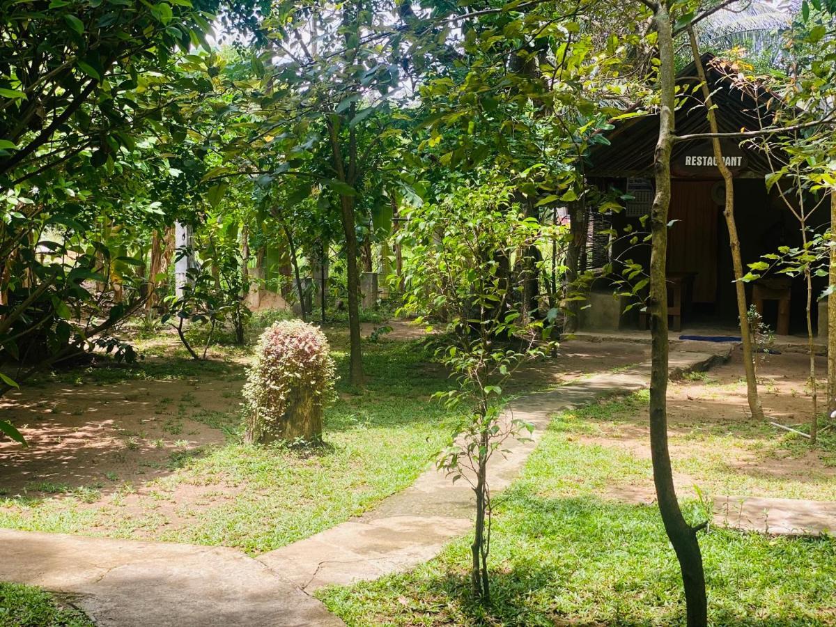 Girilena Resort 丹不拉 外观 照片