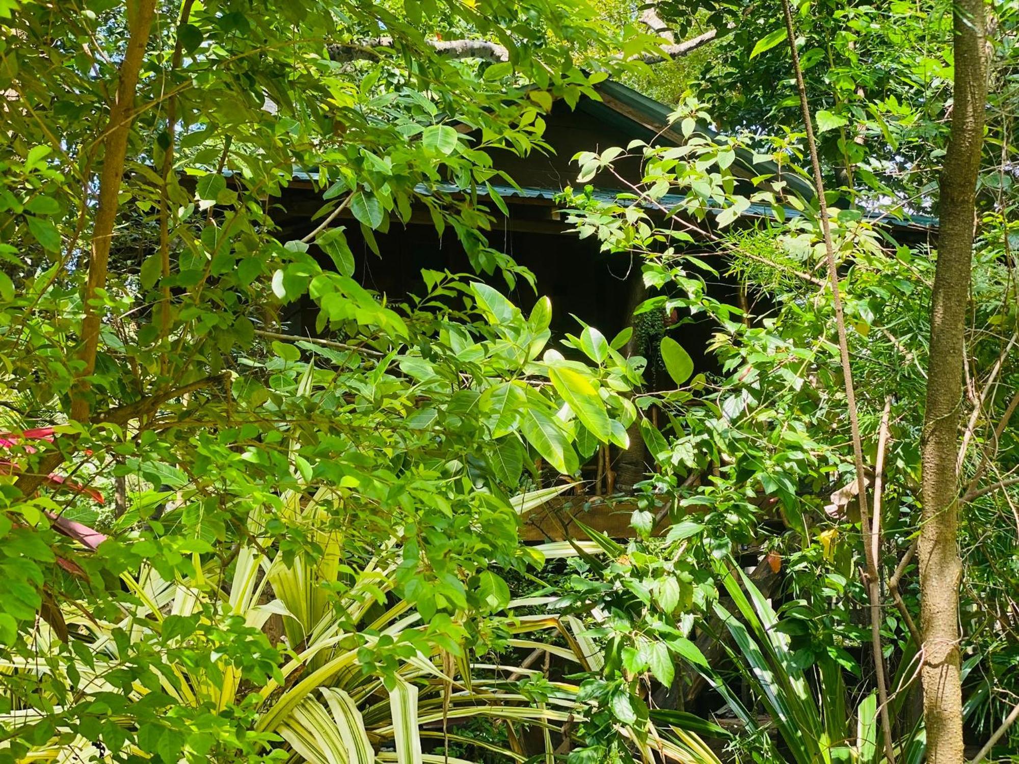 Girilena Resort 丹不拉 外观 照片